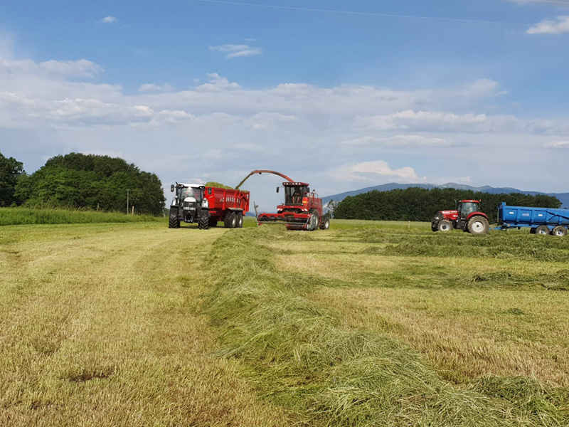 Travaux agricoles ensilage Neydens