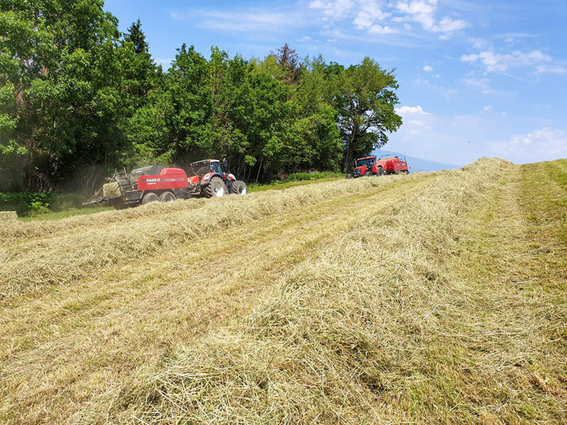 Travaux agricoles pressage Neydens