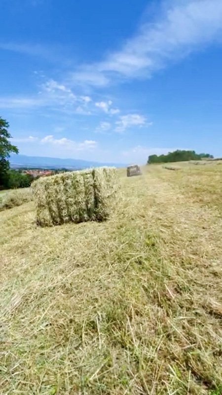 Travaux agricoles pressage Neydens