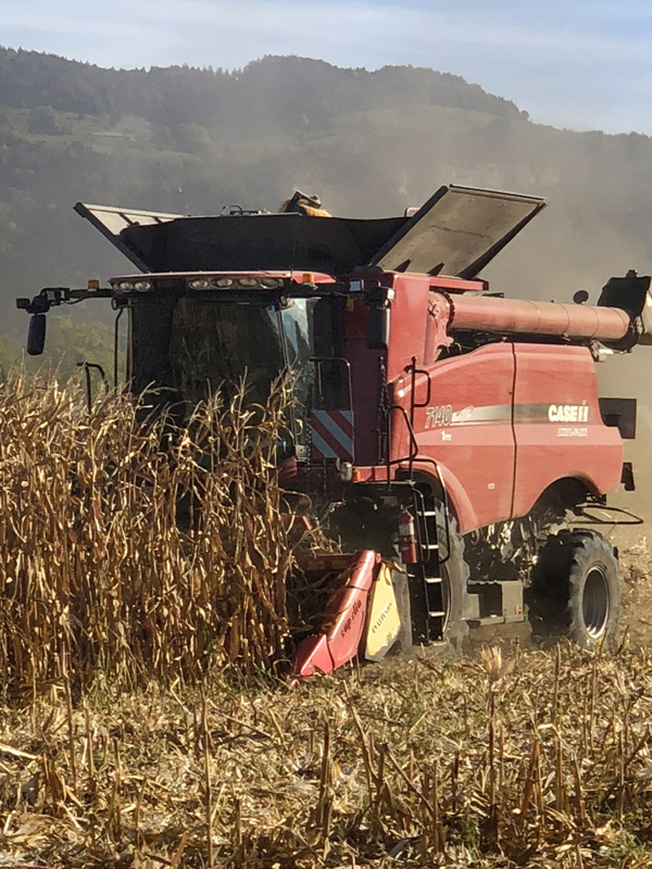 Travaux agricoles récoltes Neydens