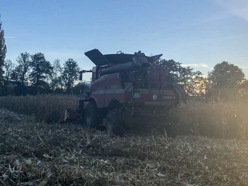 Travaux agricoles récoltes Neydens