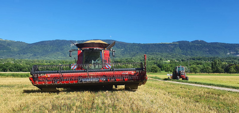 Travaux agricoles récoltes Neydens