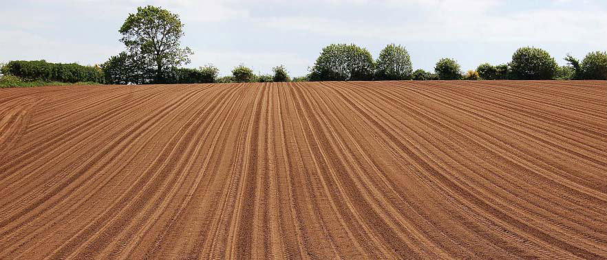 Travaux agricoles semis Neydens