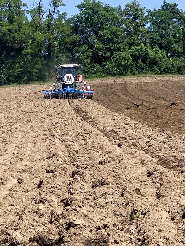 Travaux agricoles semis Neydens