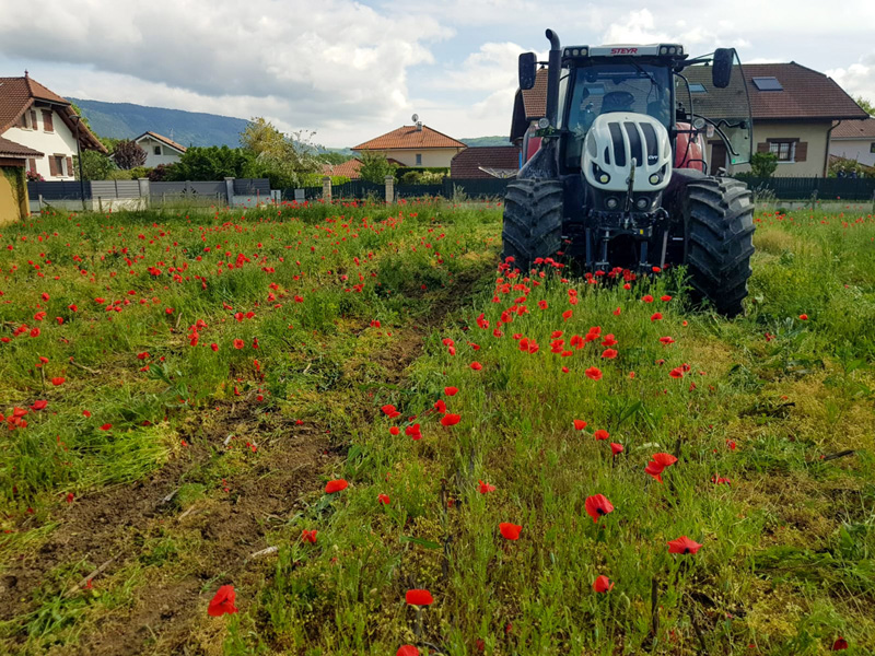 Travaux agricoles semis Neydens