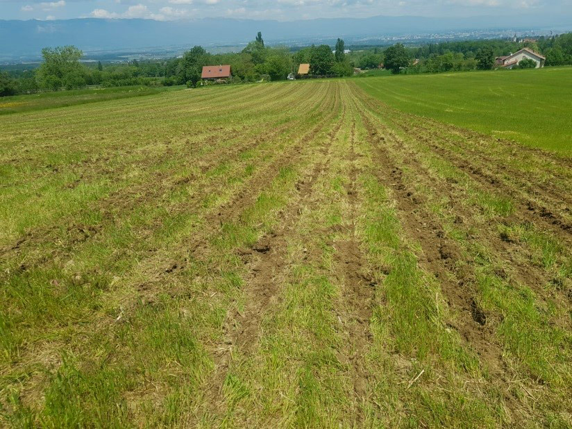 Travaux agricoles semis Neydens